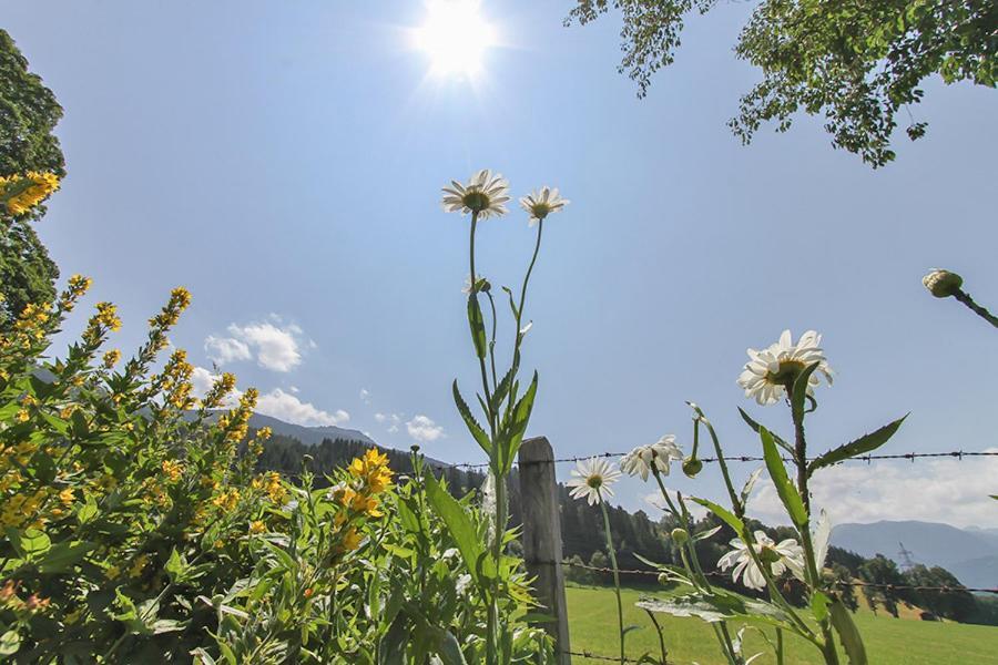 Ferienwohnung Schwalbenwandblick Saalfelden Exteriér fotografie